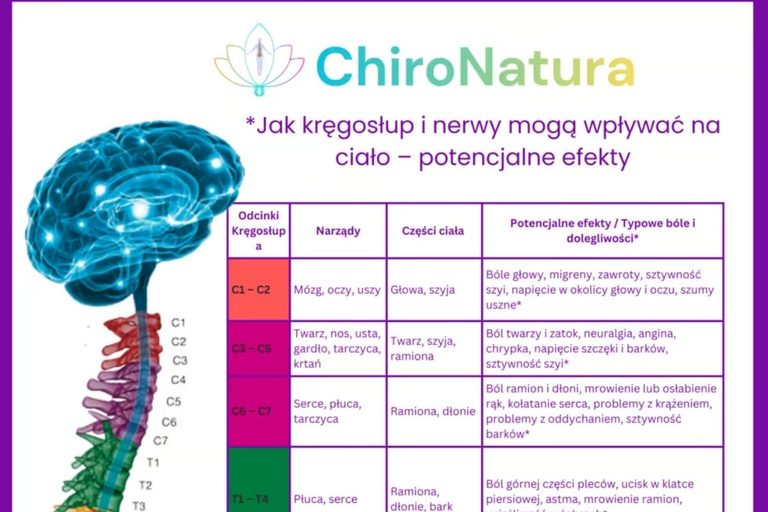 Jak kręgosłup i nerwy mogą wpływać na ciało ?
